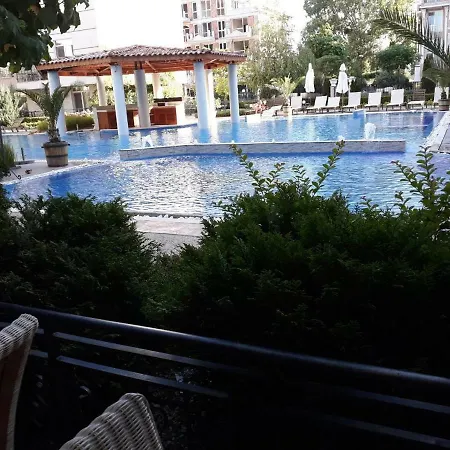 Dawn Park * סאני ביץ'